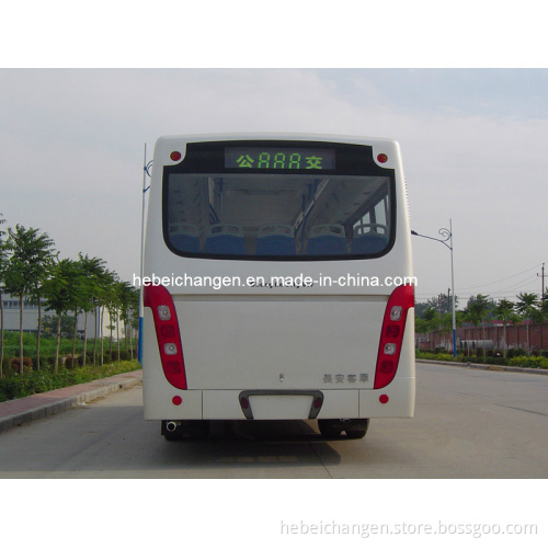 Rear Windscreen/Rear Windshield